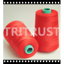 Expert in Sewing Thread (20s-60s)